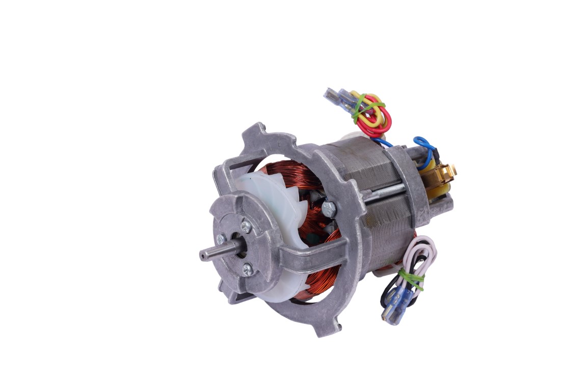 Electric Motor Manufacturer in India