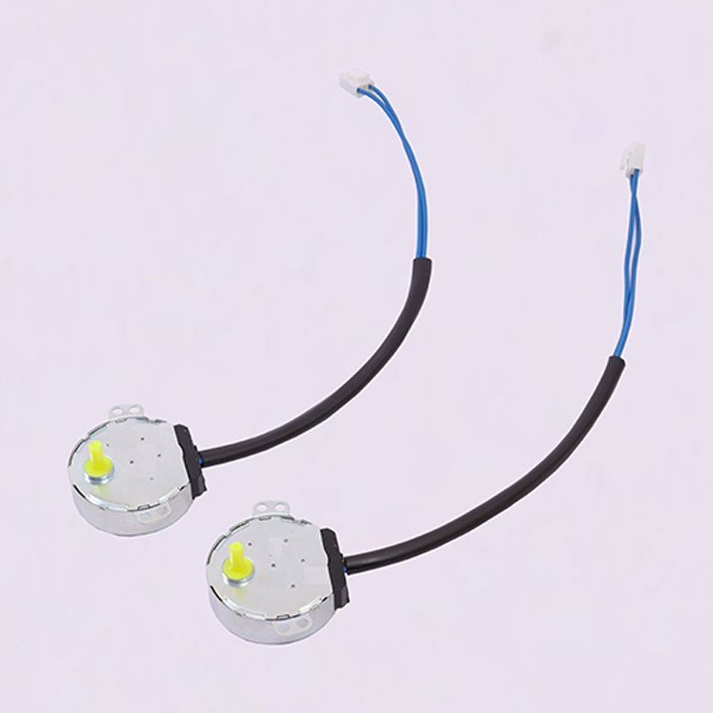 Synchronous Motor