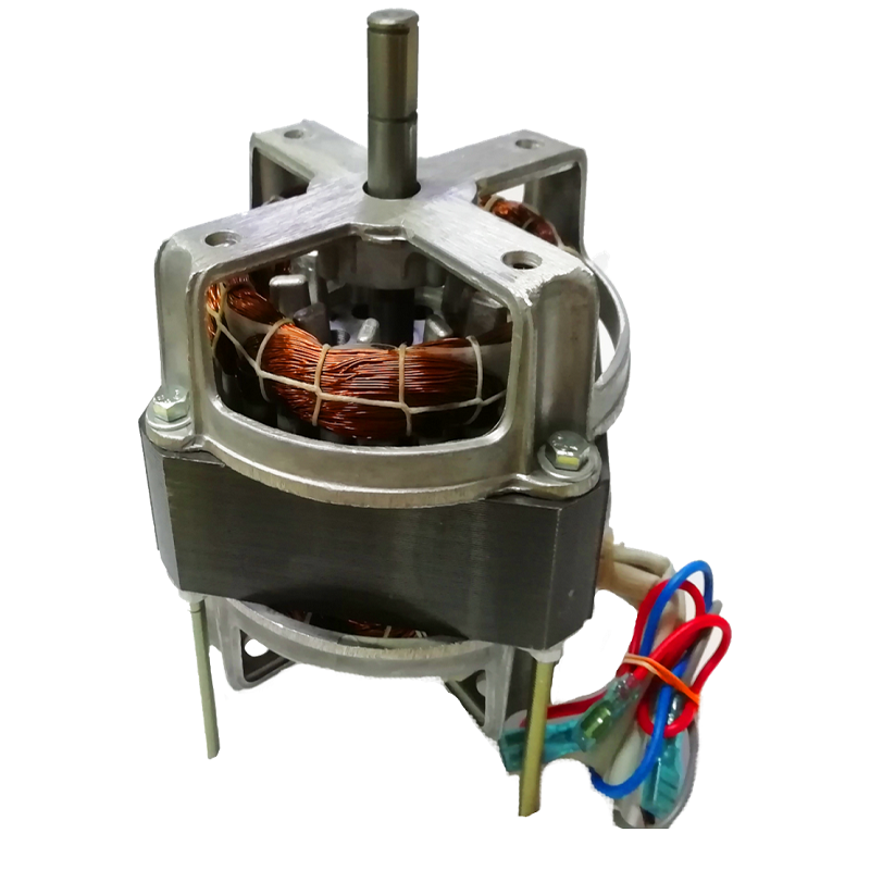 Wet Grinder Motor